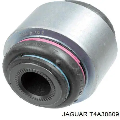 T4A1007 Jaguar