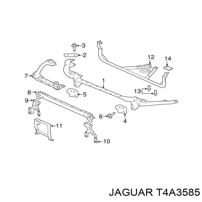 T4A3585 Jaguar