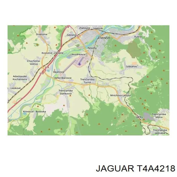 T4A16371 Jaguar