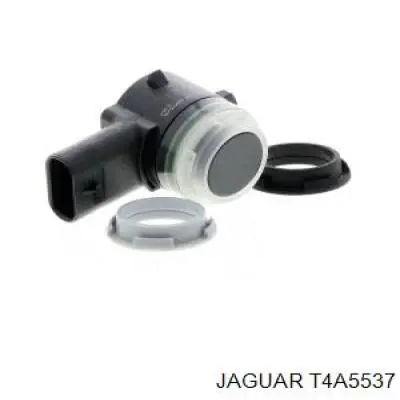 T4A5537 Jaguar