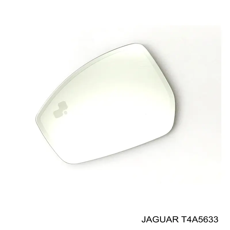 T4A5633 Jaguar