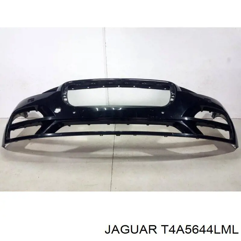  T4A5644LML Jaguar
