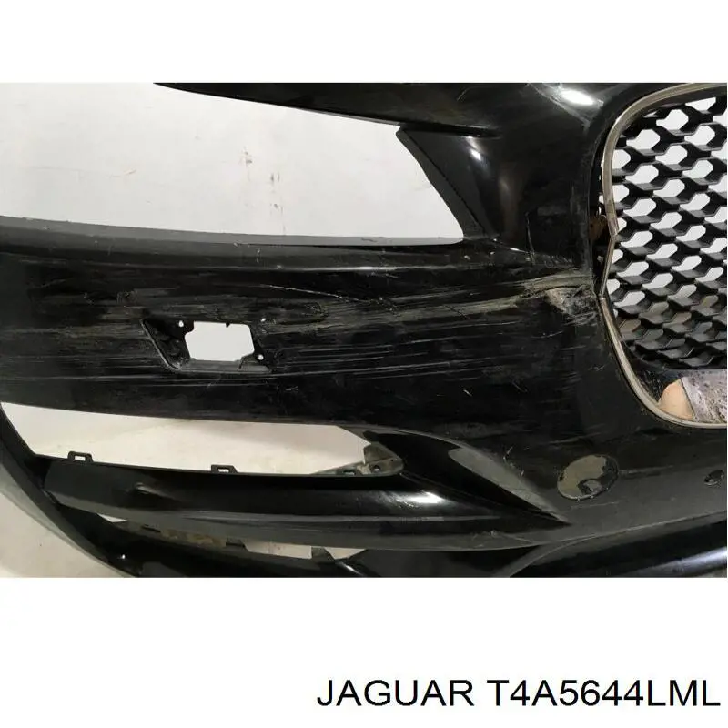Comprar T4A5644LML Jaguar 