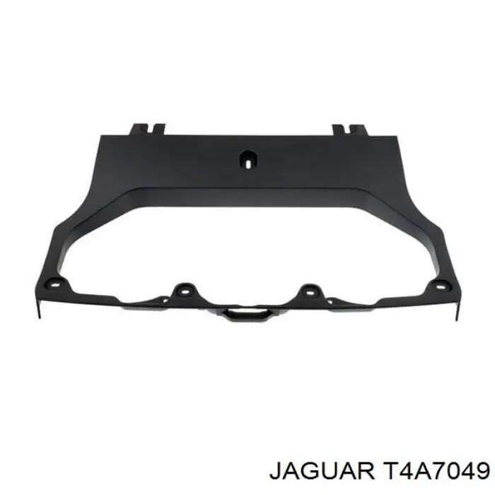 T4A5325 Jaguar