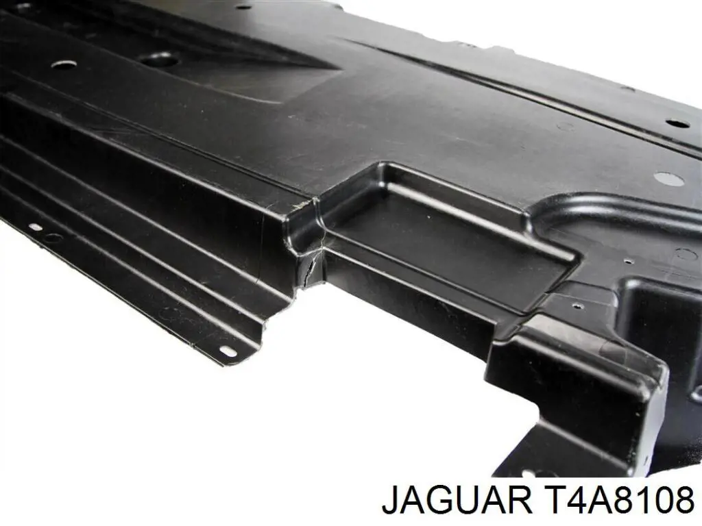 T4A8108 Jaguar