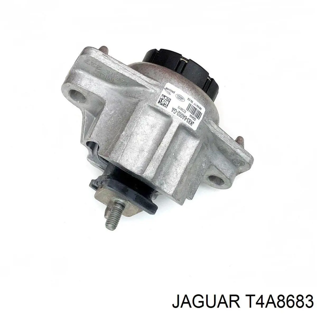 T4A8683 Jaguar