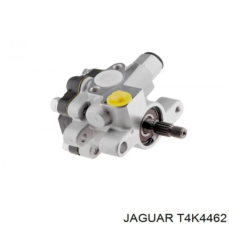 T4K4462 Jaguar