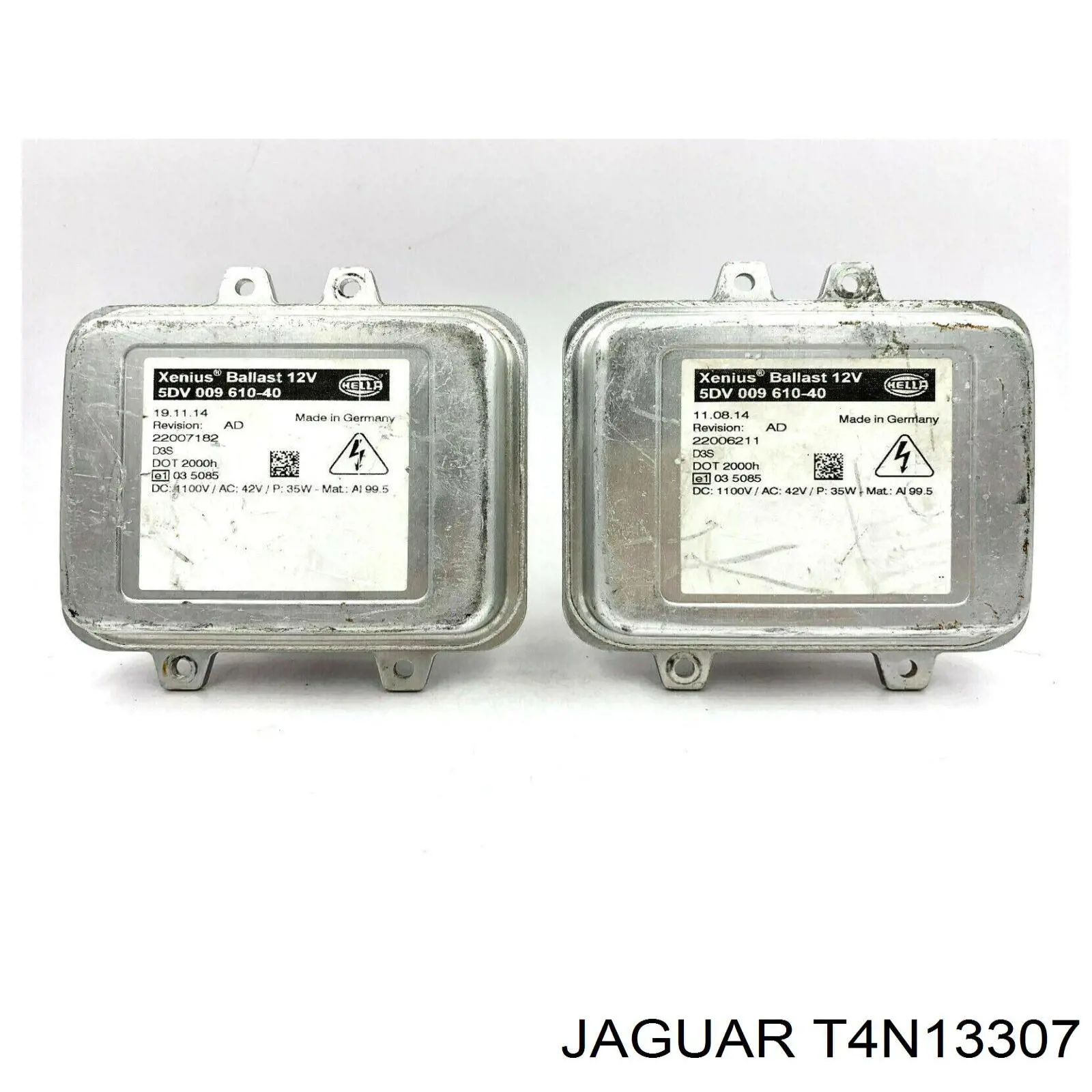 T4N13307 Jaguar