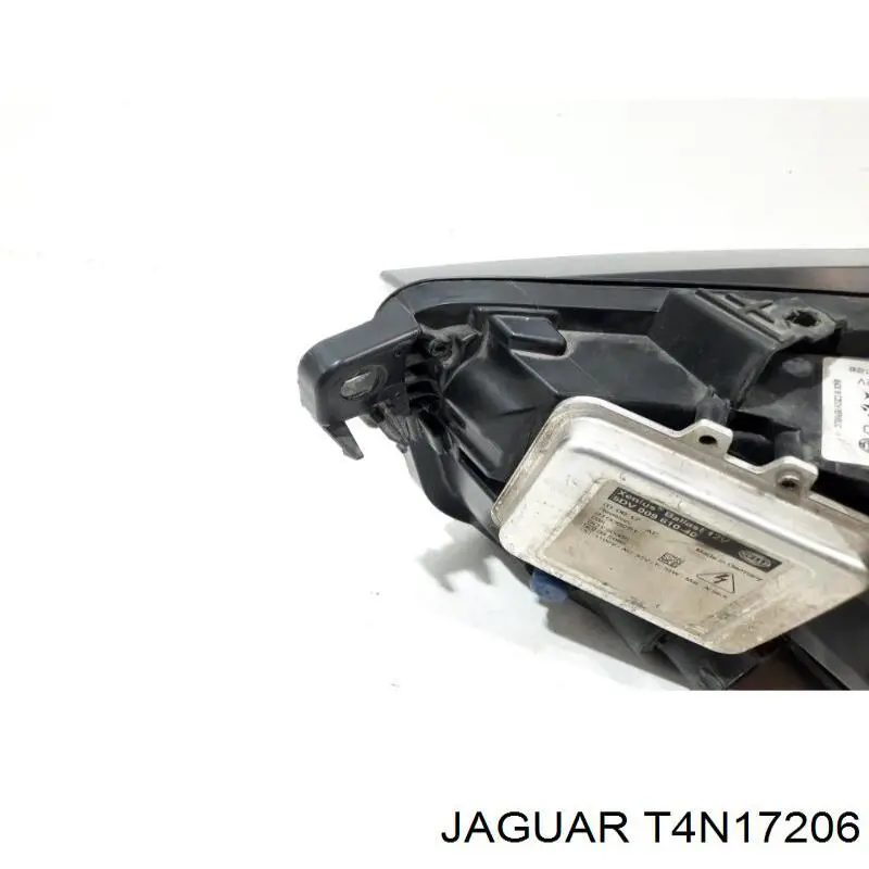 T4A1411 Jaguar