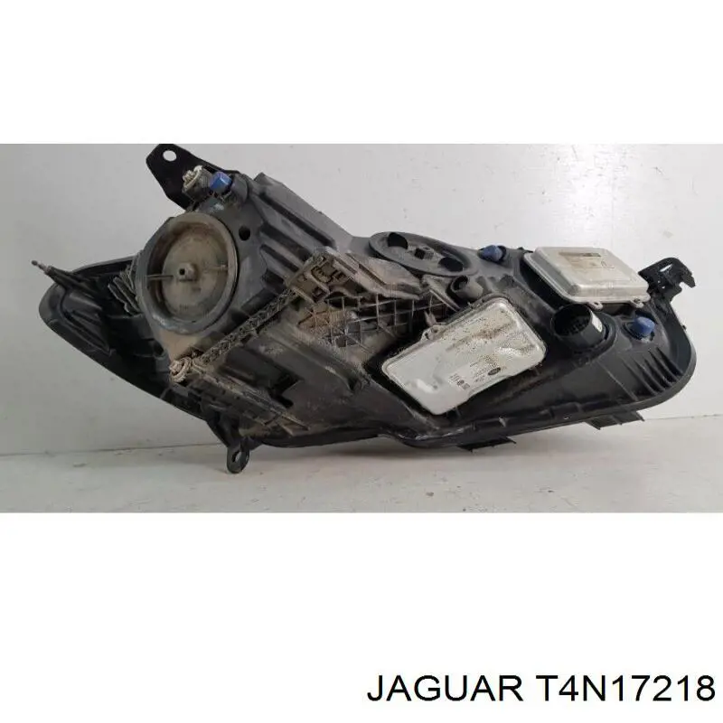 T4N13850 Jaguar