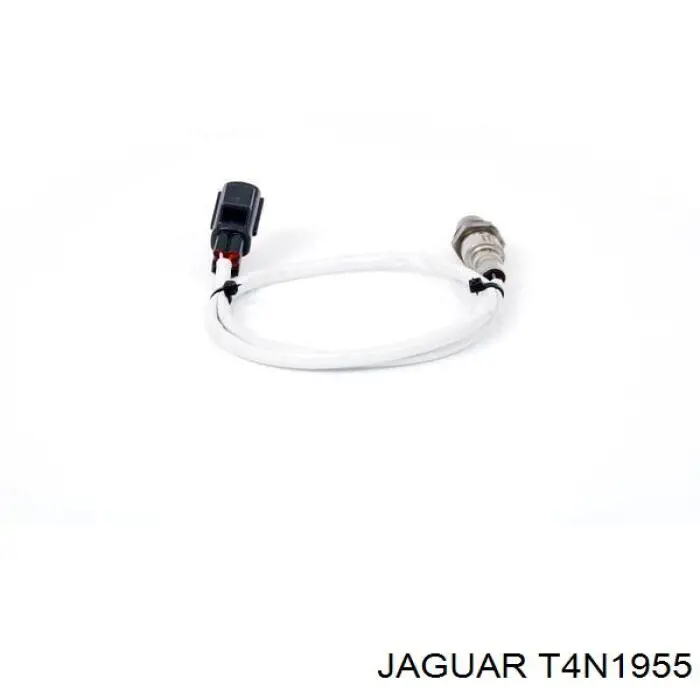 T4N1955 Jaguar sonda lambda