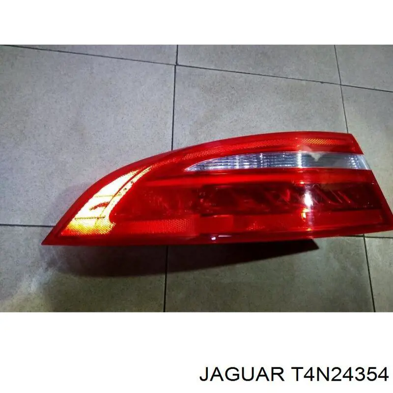 T4N24354 Jaguar