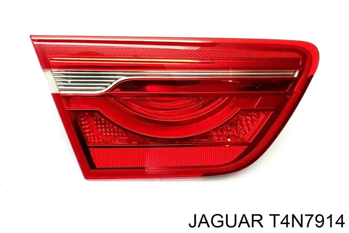 T4N7914 Jaguar