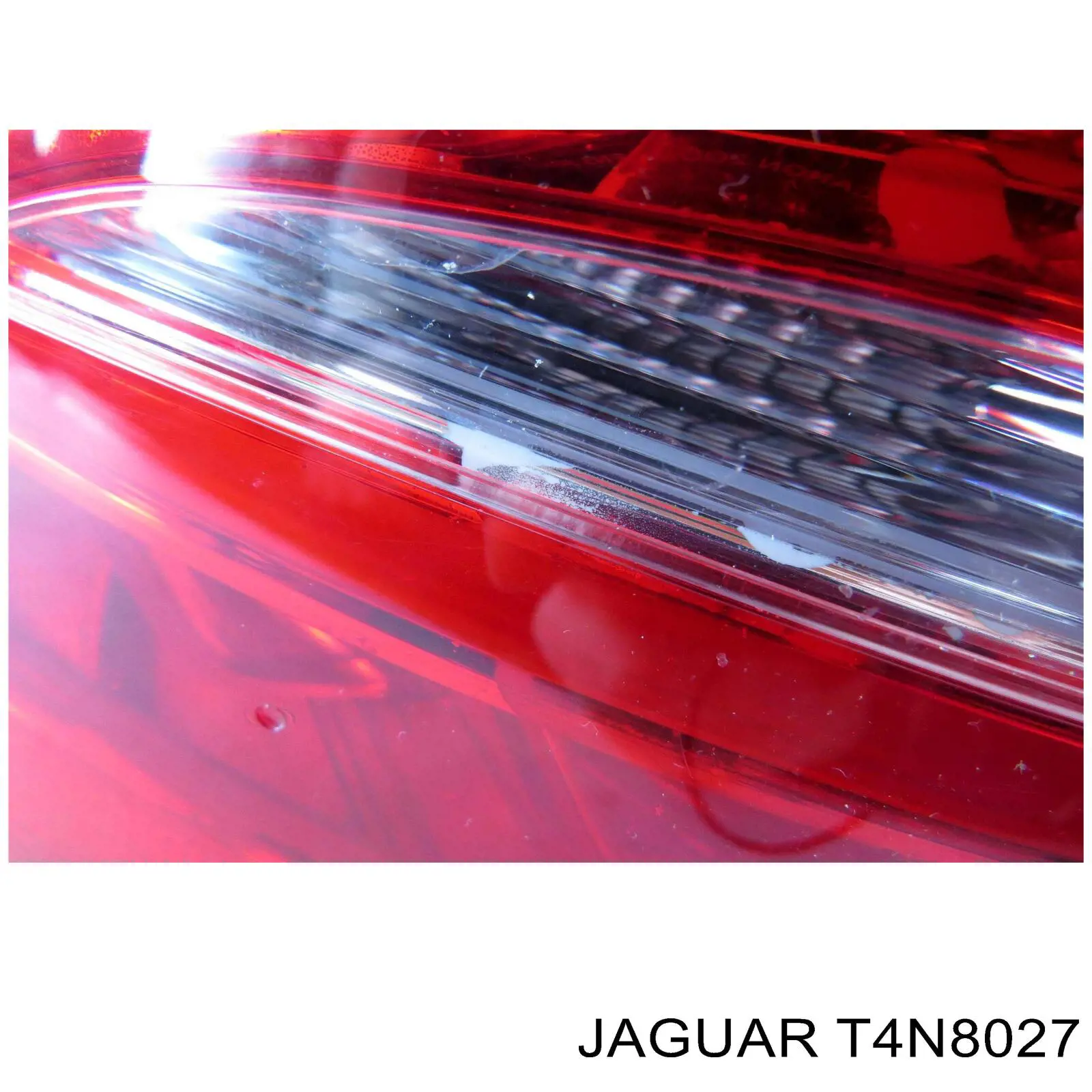 T4N8027 Jaguar