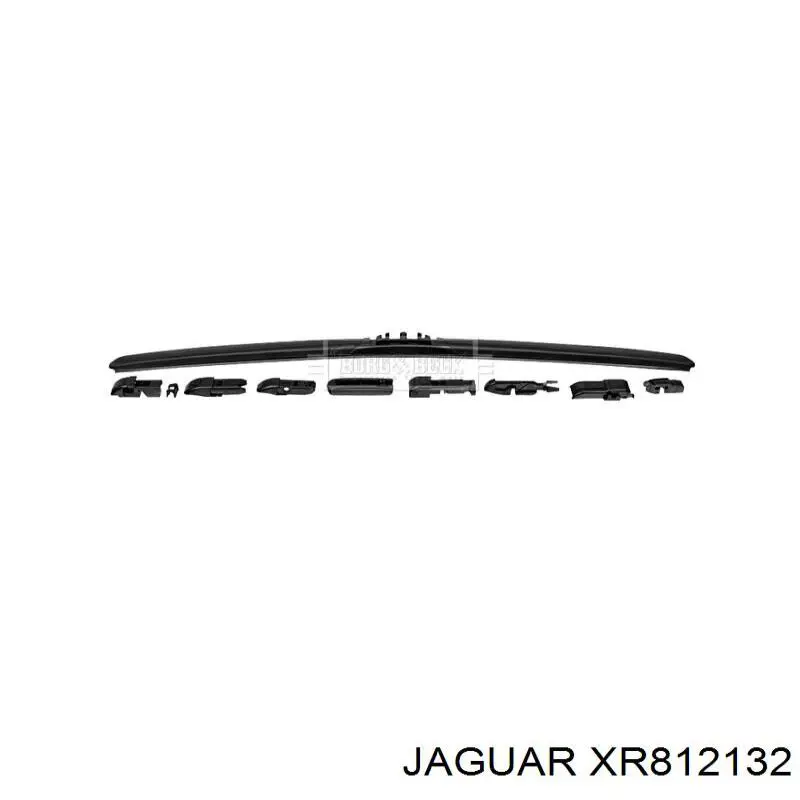 XR812132 Jaguar