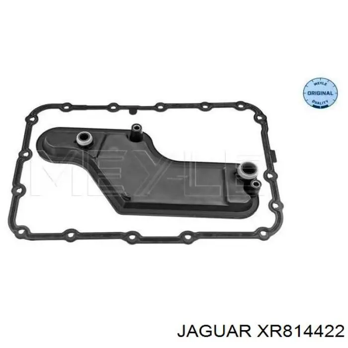 XR814422 Jaguar