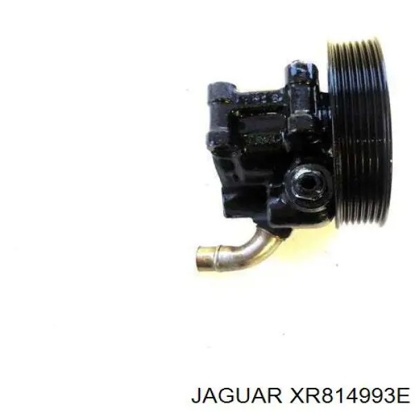 XR814993E Jaguar bomba hidráulica de dirección