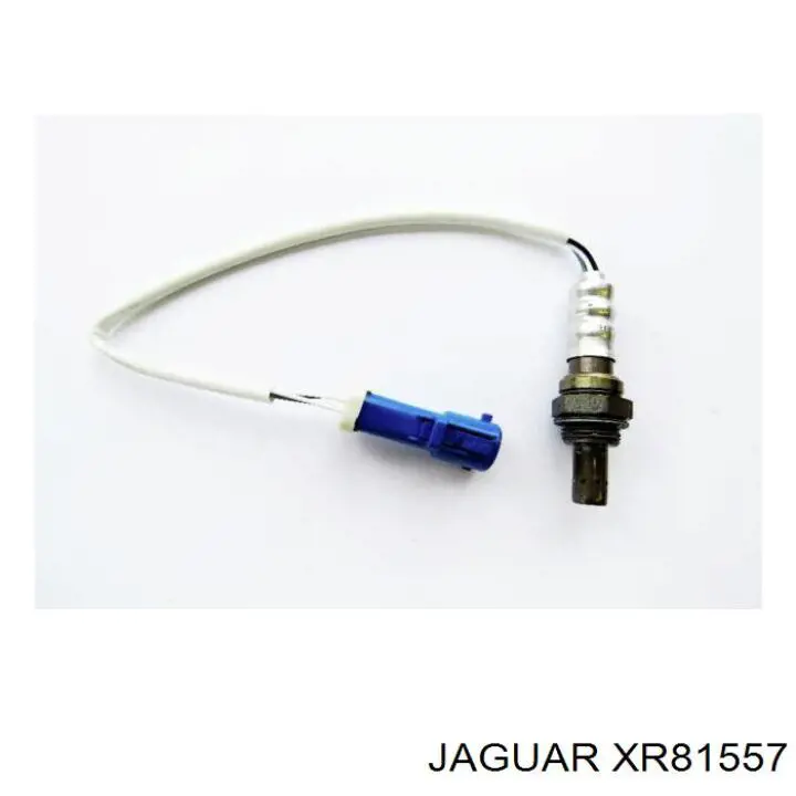 XR81557 Jaguar sonda lambda sensor de oxigeno para catalizador