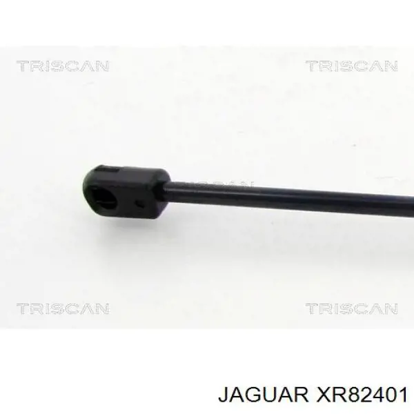 XR82401 Jaguar muelle neumático, capó de motor