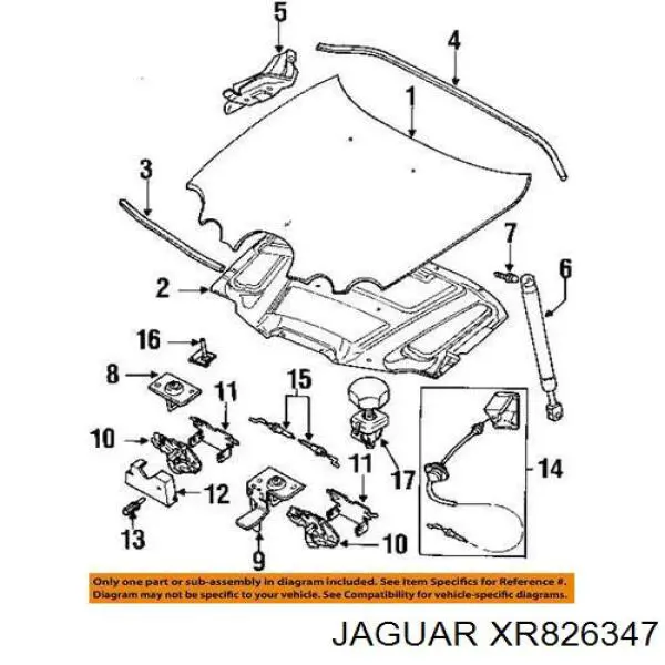 XR826347 Jaguar