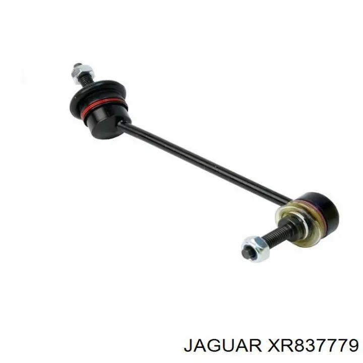 XR837779 Jaguar