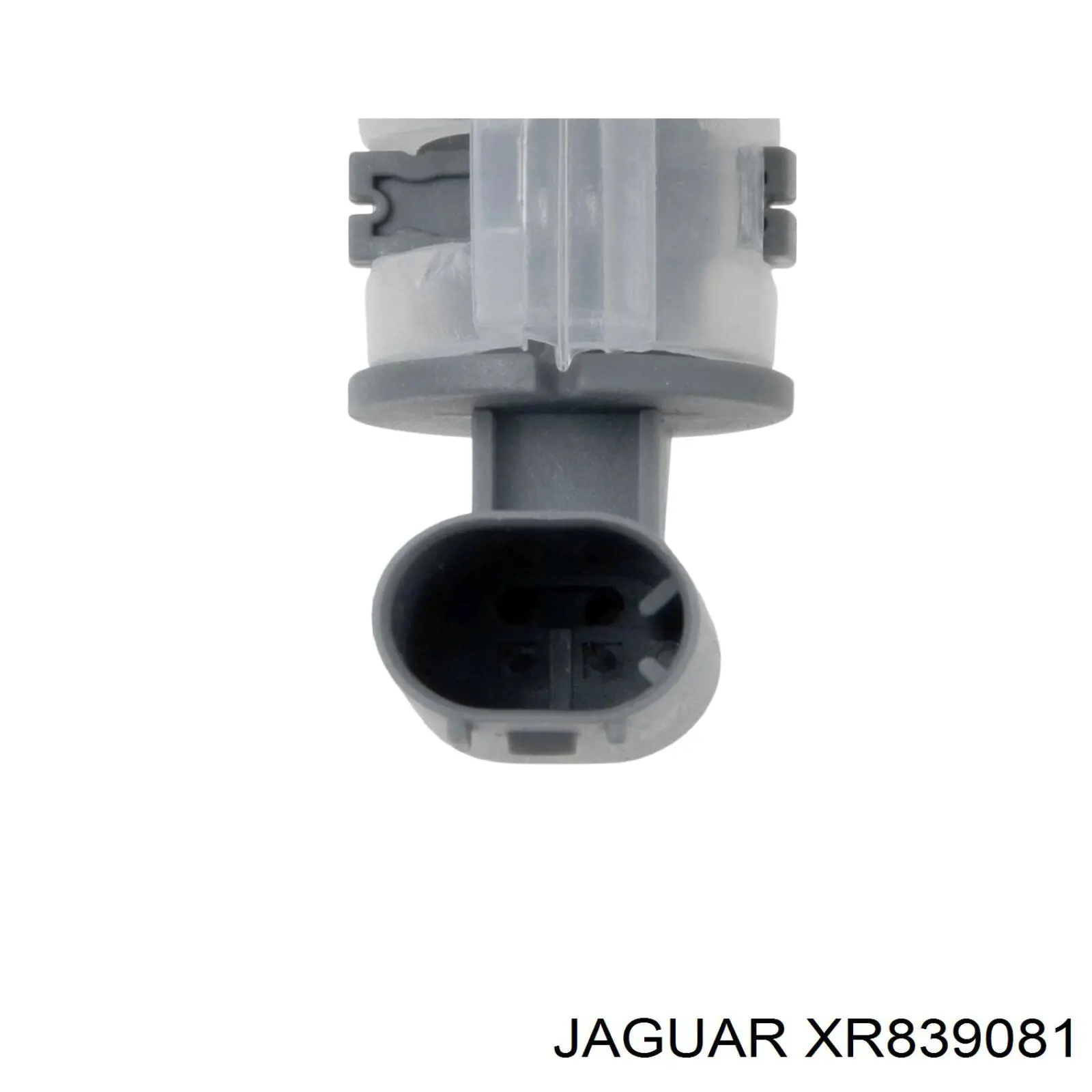 Botella de expansión Jaguar C2Z13764