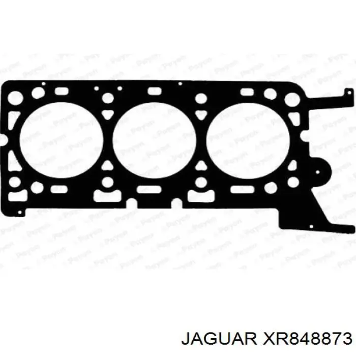 Junta de culata izquierda para Jaguar S-type (CCX)