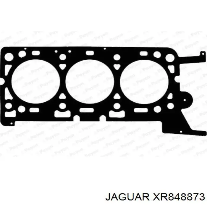 Junta de culata izquierda Jaguar X-type (CF1)