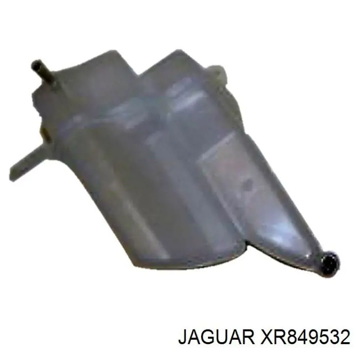 XR849532 Jaguar