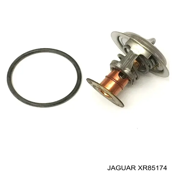 XR85174 Jaguar termostato