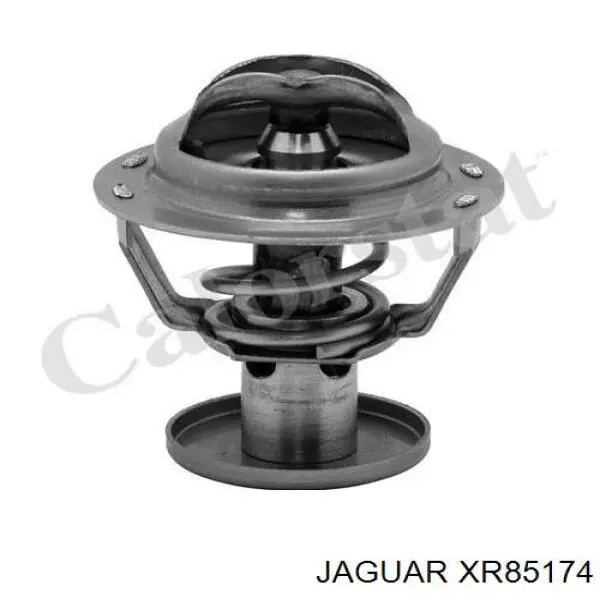 XR85174 Jaguar Termostato de agua