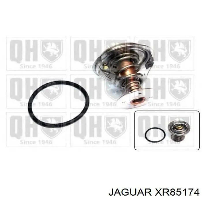 Termostato Jaguar XR85174 precio, desde 15,95 EUR