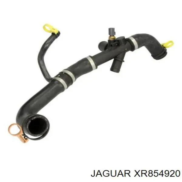 Manguera de radiador arriba para Jaguar S-type (CCX)