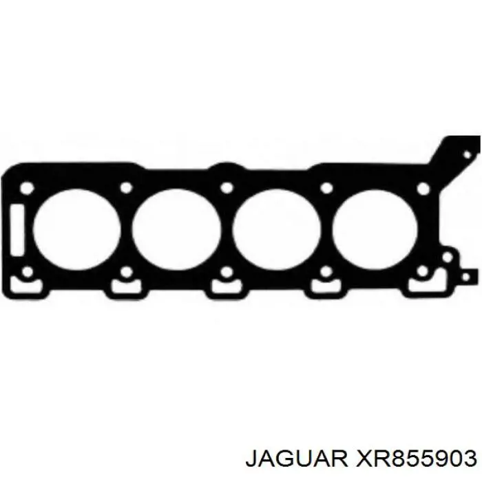 Empaque de culata derecha para Jaguar X-type (CF1)