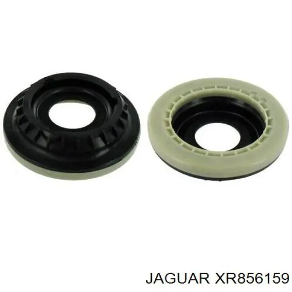 XR856159 Jaguar