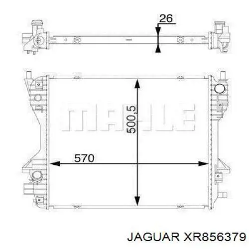 XR856379 Jaguar radiador refrigeración del motor