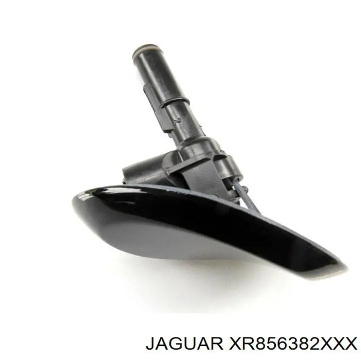 XR856382XXX Jaguar