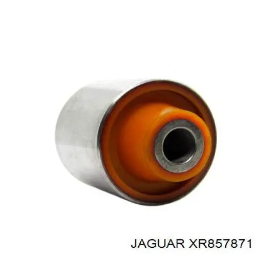 XR857871 Jaguar brazo suspension trasero superior derecho