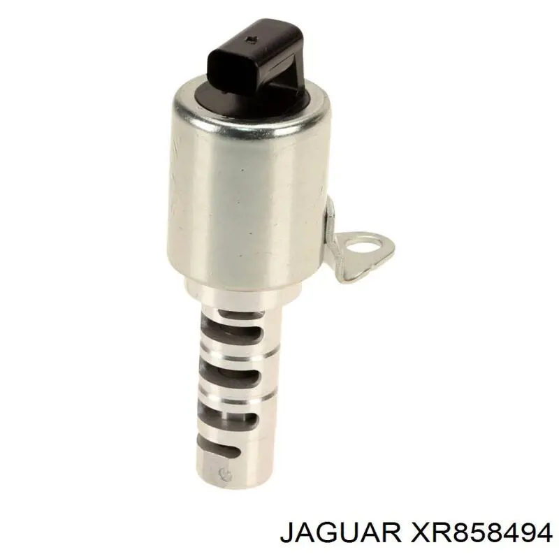 XR858494 Jaguar válvula control, ajuste de levas
