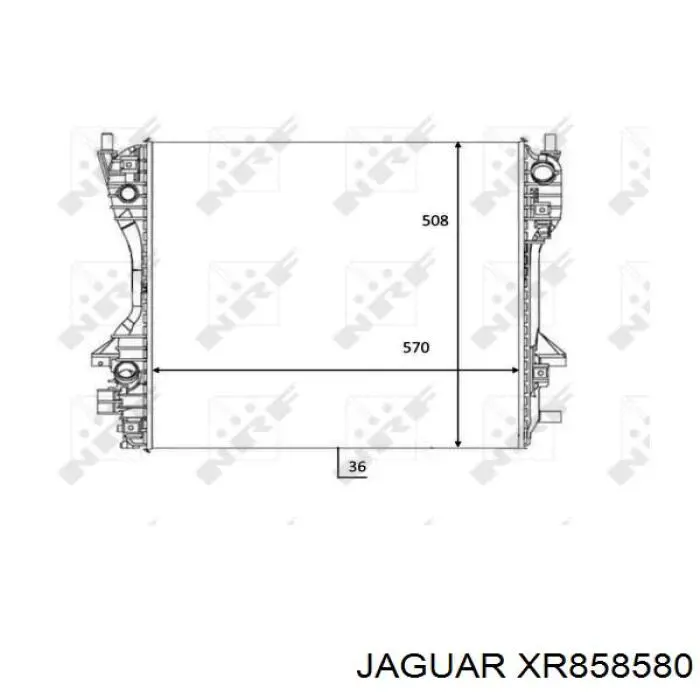 XR858580 Jaguar radiador refrigeración del motor