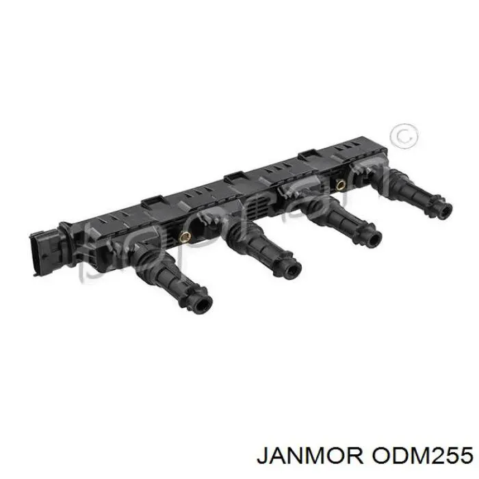 ODM255 Janmor