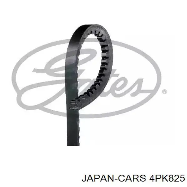 Correa trapezoidal Honda Civic 6 EJ9, EK3/4