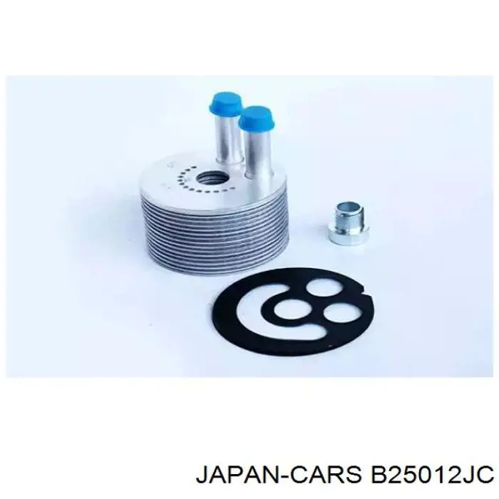 B25012JC Japan Cars filtro de aire