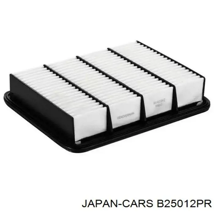 B25012PR Japan Cars filtro de aire