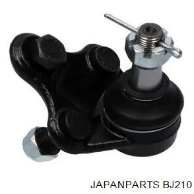 Rótula inferior de suspensión BJ210 Japan Parts