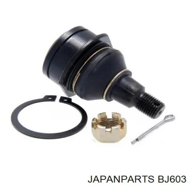 BJ603 Japan Parts barra oscilante, suspensión de ruedas delantera, inferior derecha