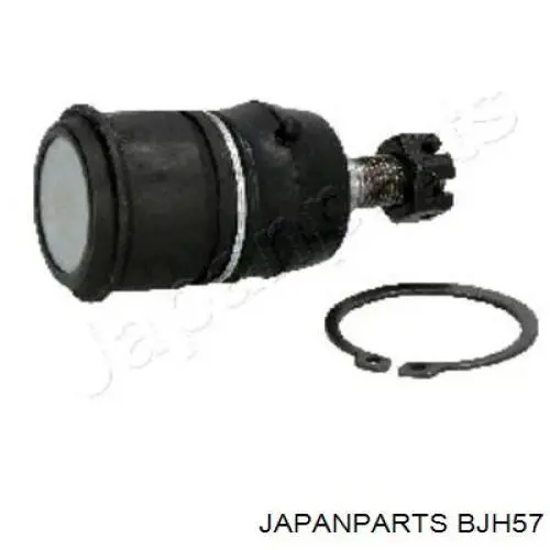 Rótula inferior de suspensión Japan Parts BJH57 precio, desde 19,70 EUR