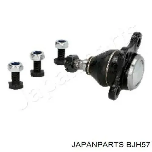 Rótula inferior de suspensión BJH57 Japan Parts