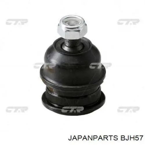 Rótula inferior de suspensión BJH57 Japan Parts