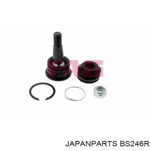 Brazo inferior derecho de la suspensión delantera Japan Parts BS246R